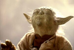 the forcee